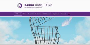 bardo consulting