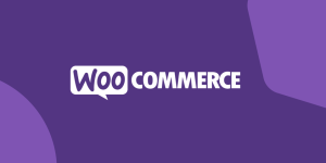 wordpress WooCommerce webshop